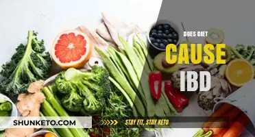 Diet's Link to IBD: What You Need to Know