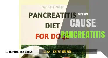 Diet's Role in Pancreatitis: What You Need to Know