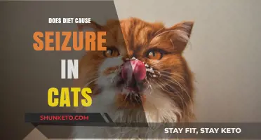 How Diet Affects Seizures in Cats