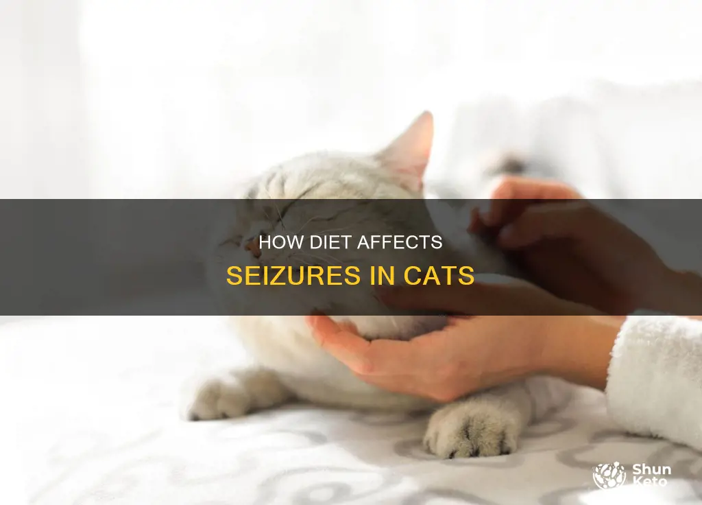 does diet cause seizure in cats