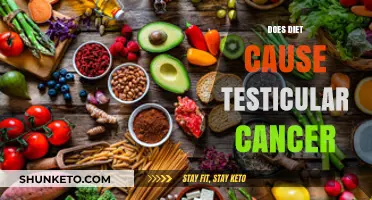 Diet's Link to Testicular Cancer Risk