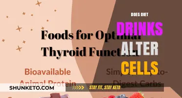 Diet Drinks: Impact on Cells and Your Health