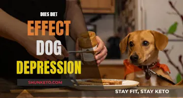 Dog Diet and Depression: What's the Link?