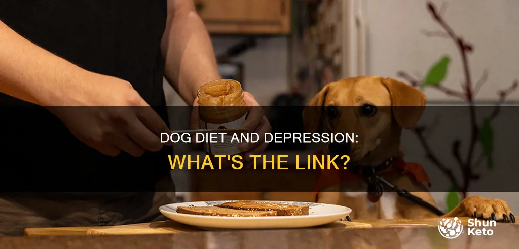 does diet effect dog depression