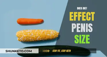 Diet and Penis Size: Is There a Link?