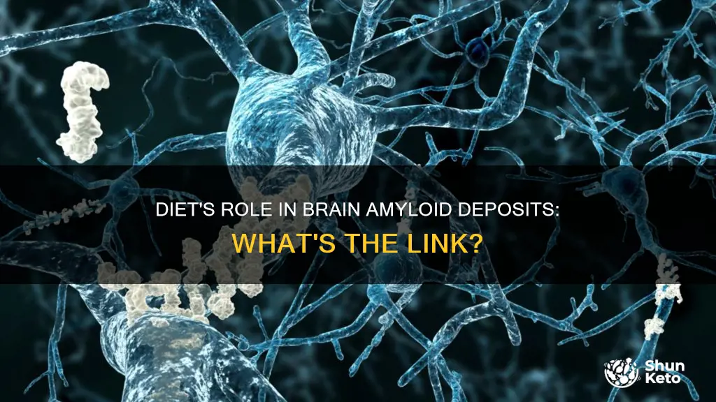 does diet have any effect on amyloid deposits in brain