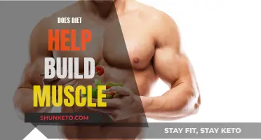 Building Muscle: Does Diet Play a Role?
