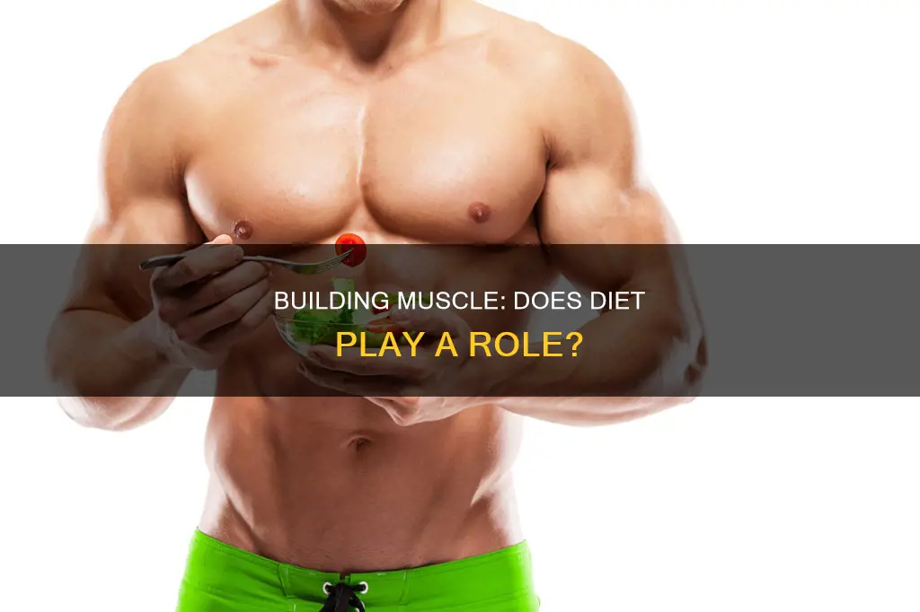 does diet help build muscle