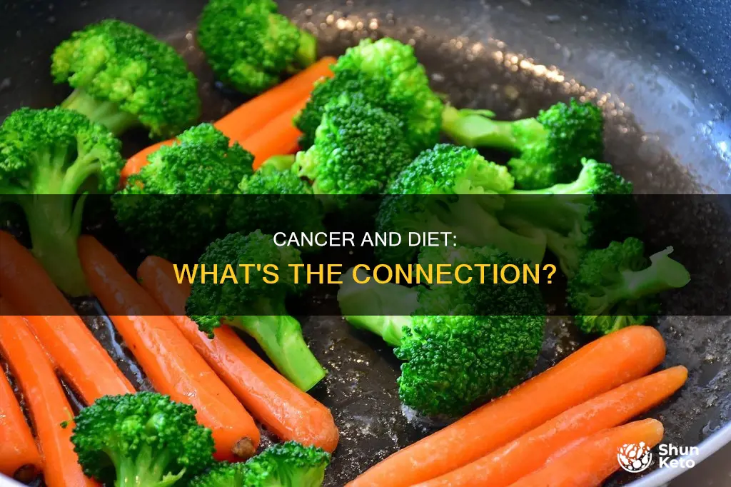 does diet help cure cancer