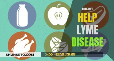 Healing Lyme Disease: The Diet Connection