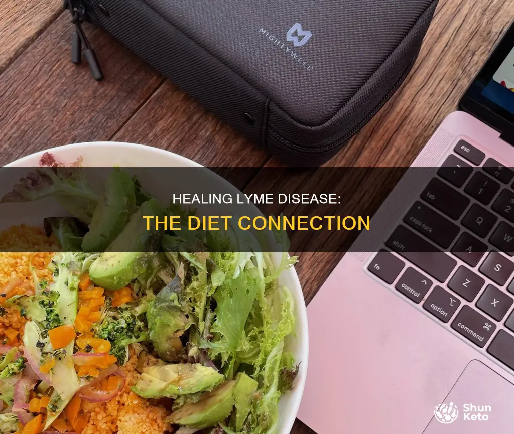 does diet help lyme disease
