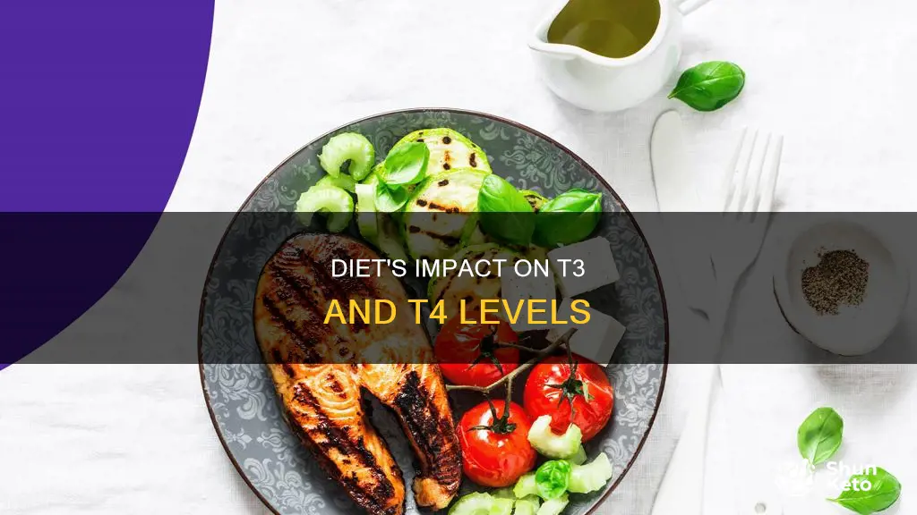 does diet help with t3 and t4 levels