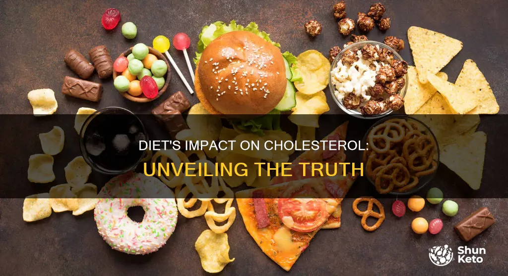 does diet increase cholesterol