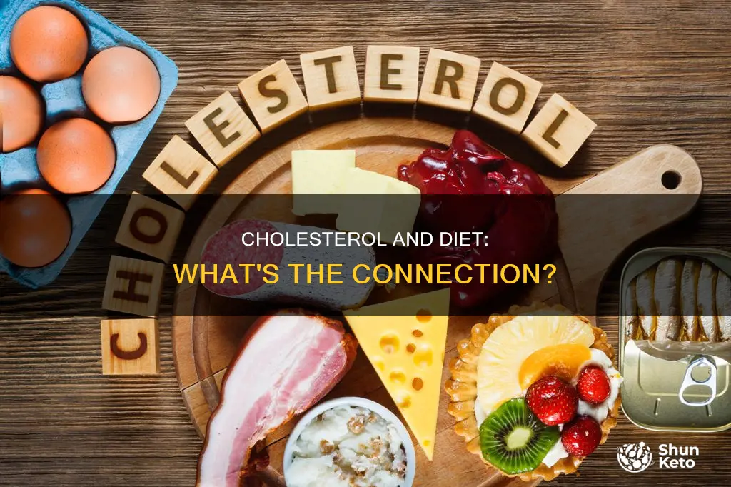 does diet increase cholesterol