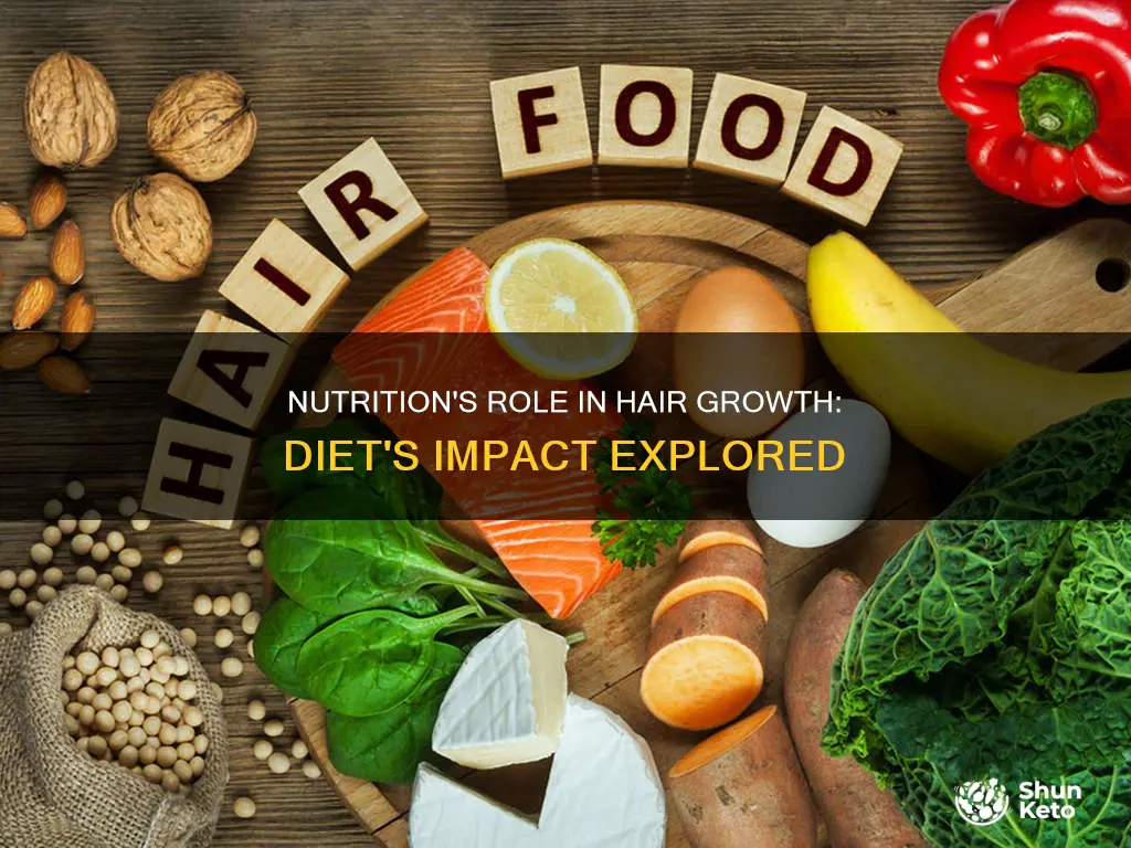 does diet increase hair growth