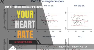 Diet-Induced Thermogenesis: Unlocking the Secrets of Increased Heart Rate