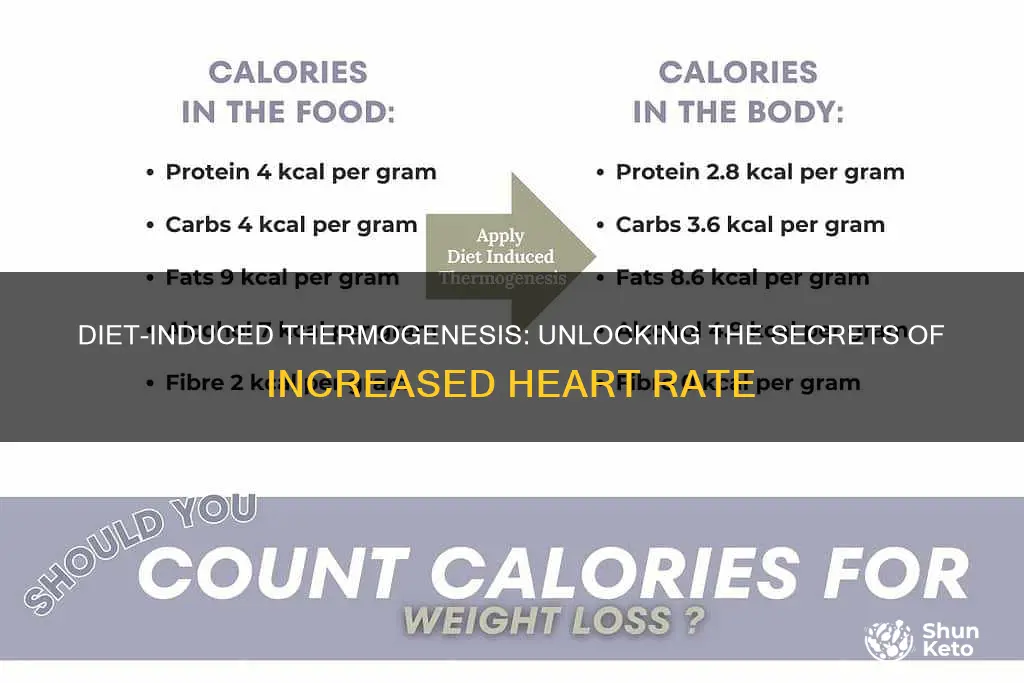 does diet induced thermogenesis increase your heart rate