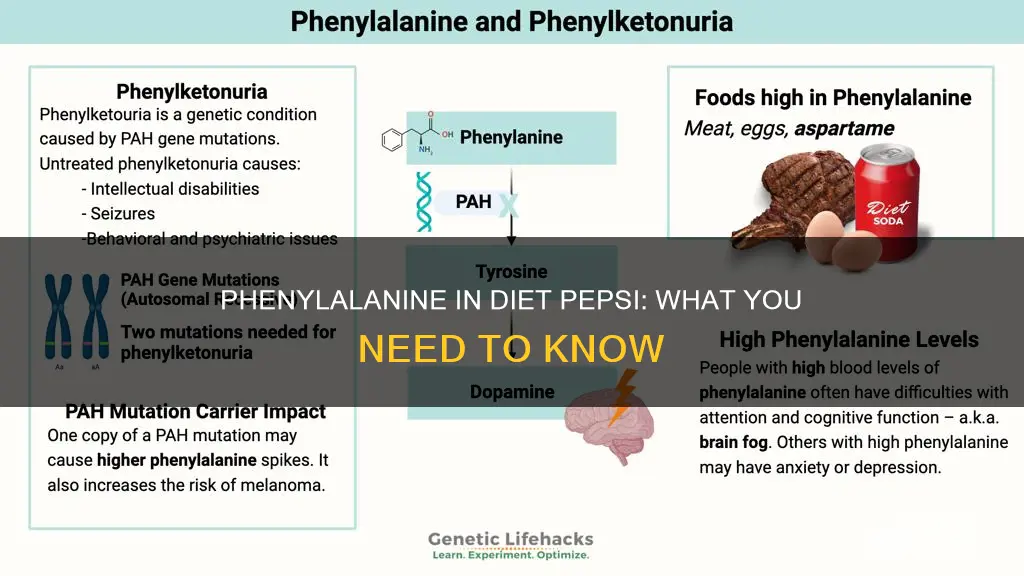 does diet pepsi have phenylalanine in it