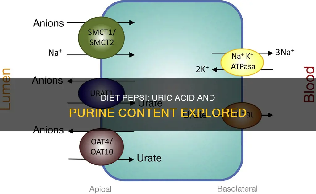 does diet pepsi have uric acid or purines