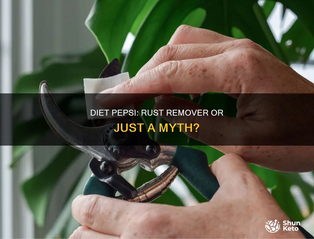 does diet pepsi remove rust
