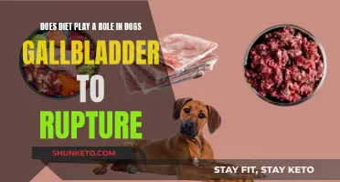 Diet's Role in Canine Gallbladder Rupture: What You Need Know