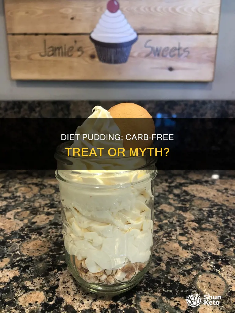 does diet pudding have carbs