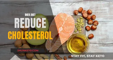 Cholesterol and Diet: What You Eat Matters