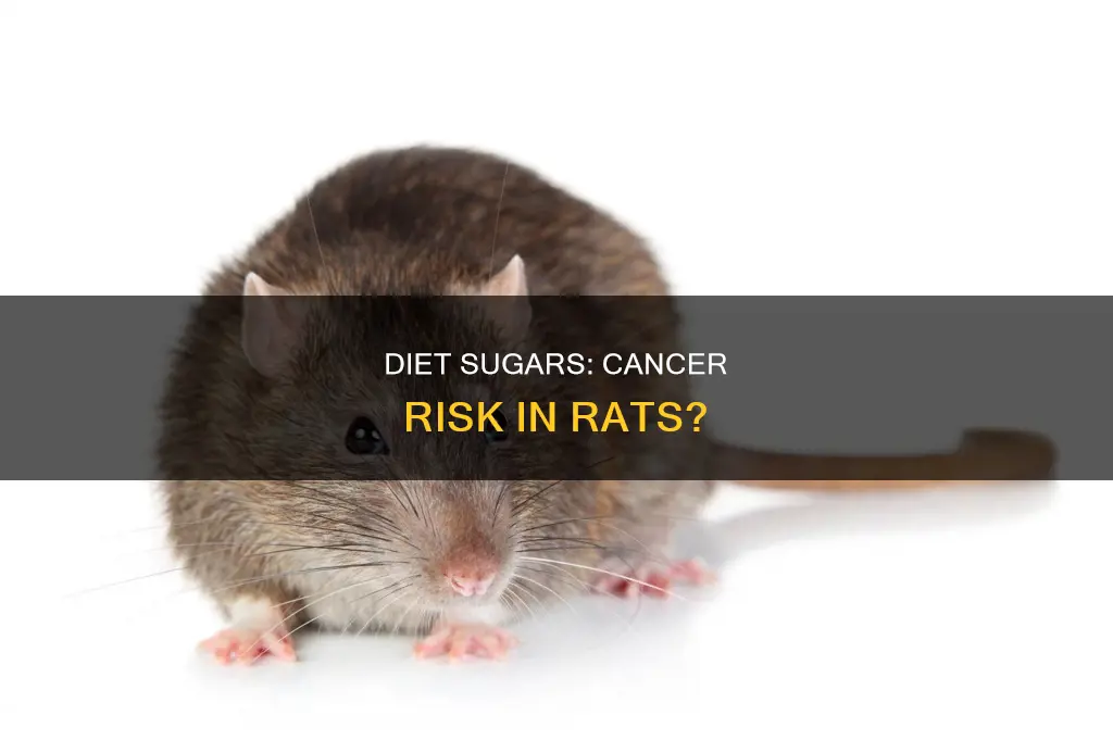 does diet sugars cause cancer in rats