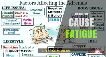 Dieting and Fatigue: Is There a Link?