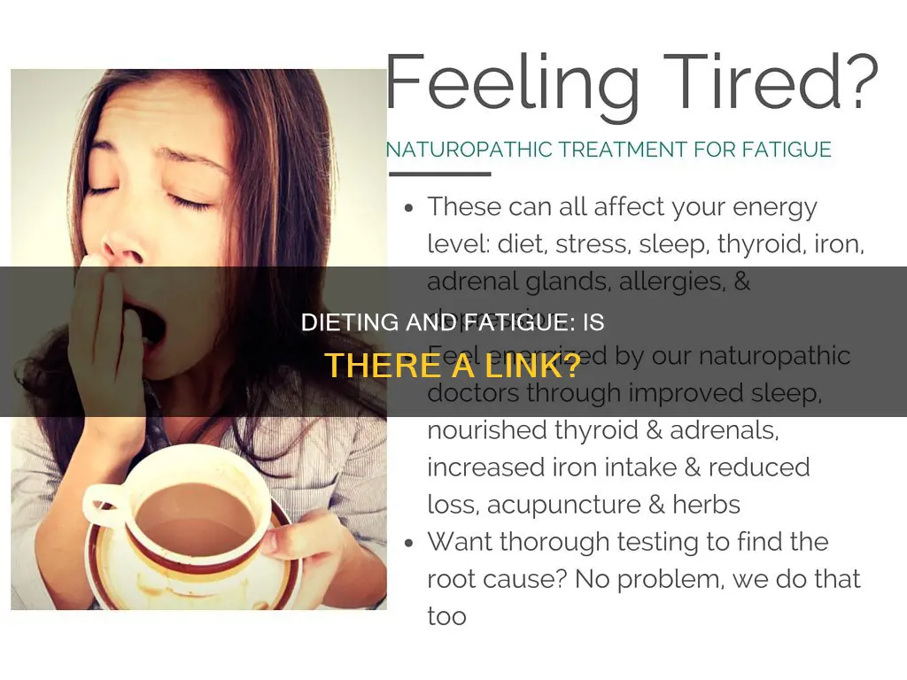 does dieting cause fatigue