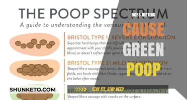 Dieting and Green Poop: What's the Link?