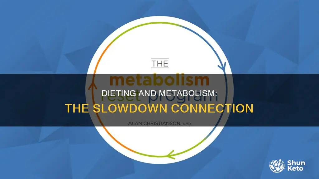 does dieting cause metabolism slowdown