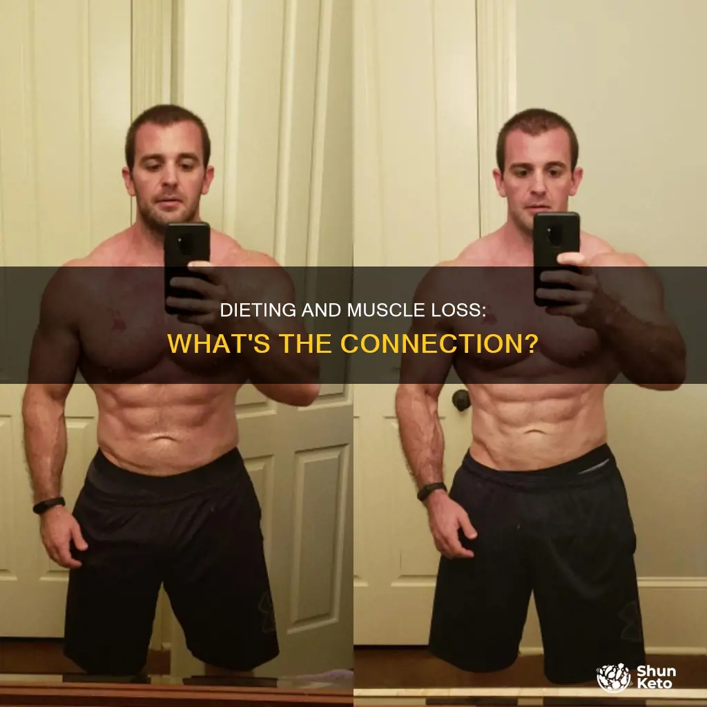does dieting cause muscle loss