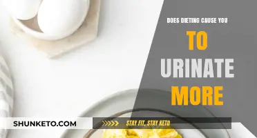 How Dieting Impacts Urination Frequency