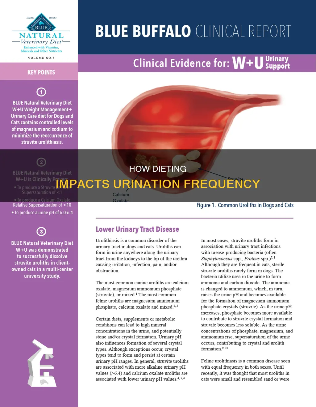 does dieting cause you to urinate more