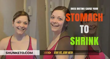 Dieting: Does It Shrink Your Stomach?