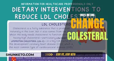 Dieting and Cholesterol: What's the Connection?