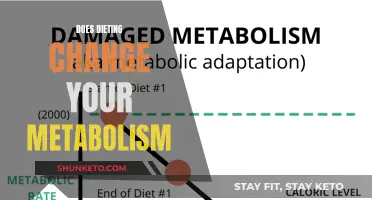 Metabolism and Dieting: What's the Real Connection?