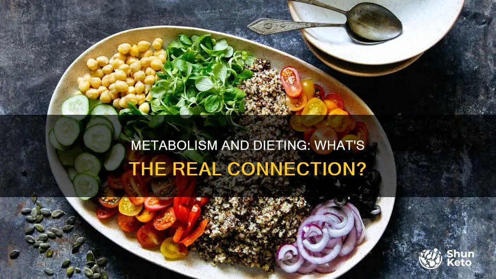 does dieting change your metabolism