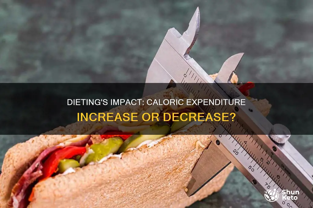 does dieting increase caloric expedniture