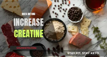 How Dieting Impacts Creatine Levels in Your Body