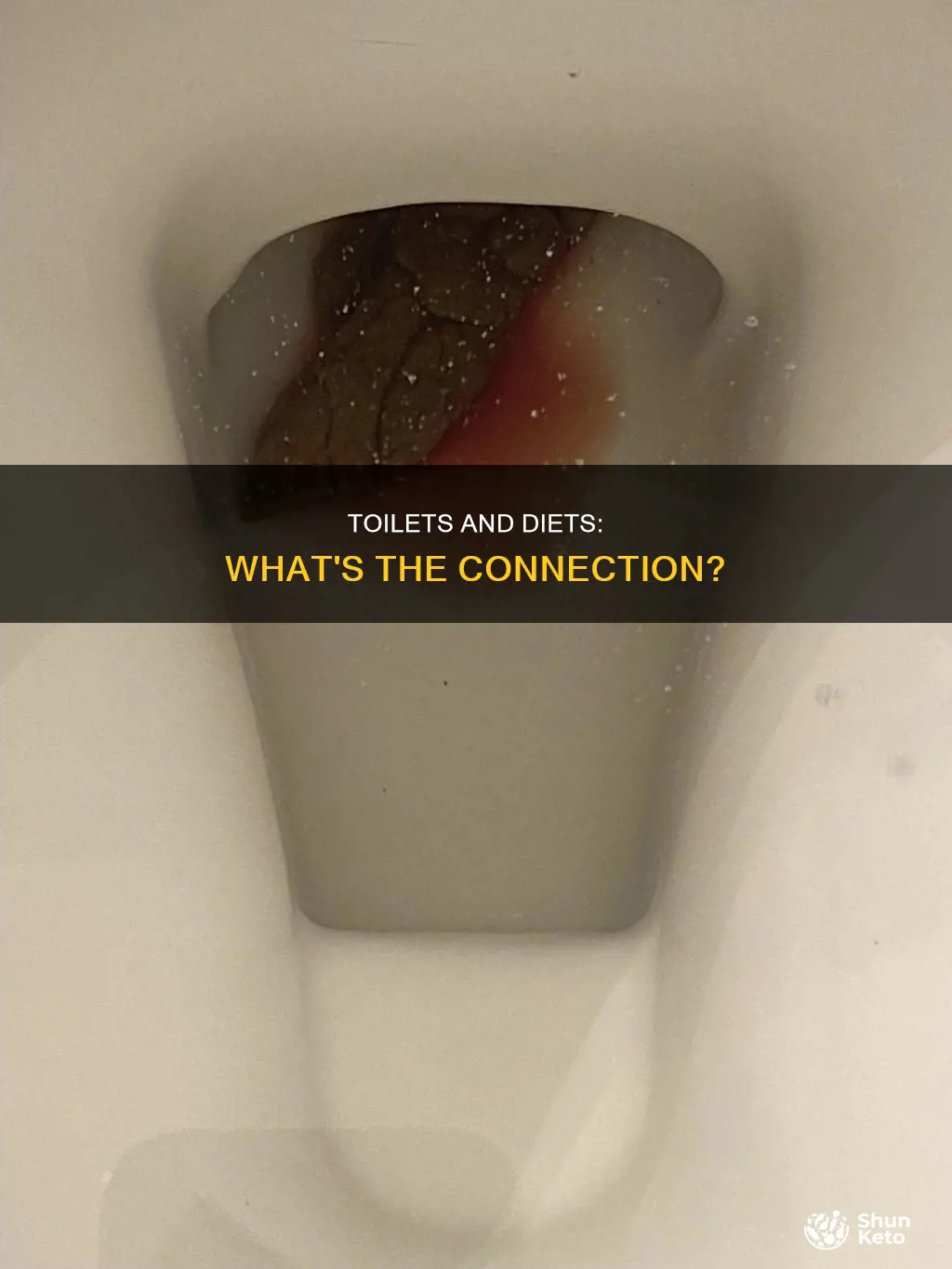 does dieting make you go to the toilet more