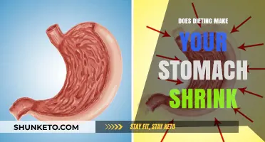 Dieting: Shrinking Your Stomach or a Myth?