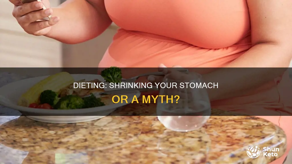 does dieting make your stomach shrink