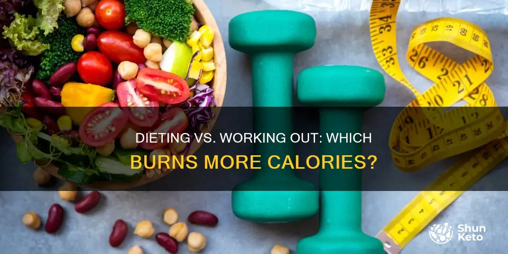 does dieting or workout burn more calories