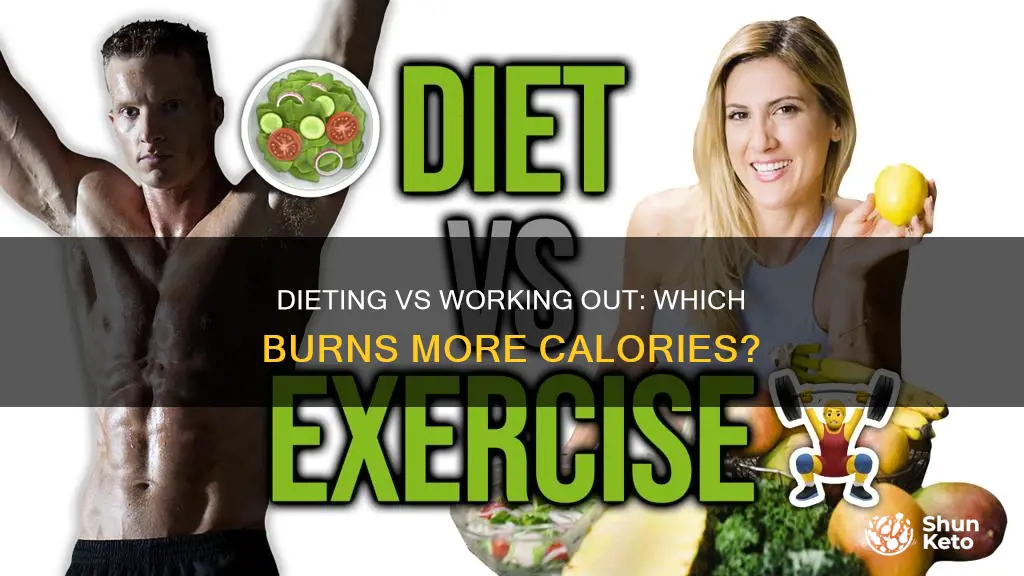 does dieting or workout burn more calories