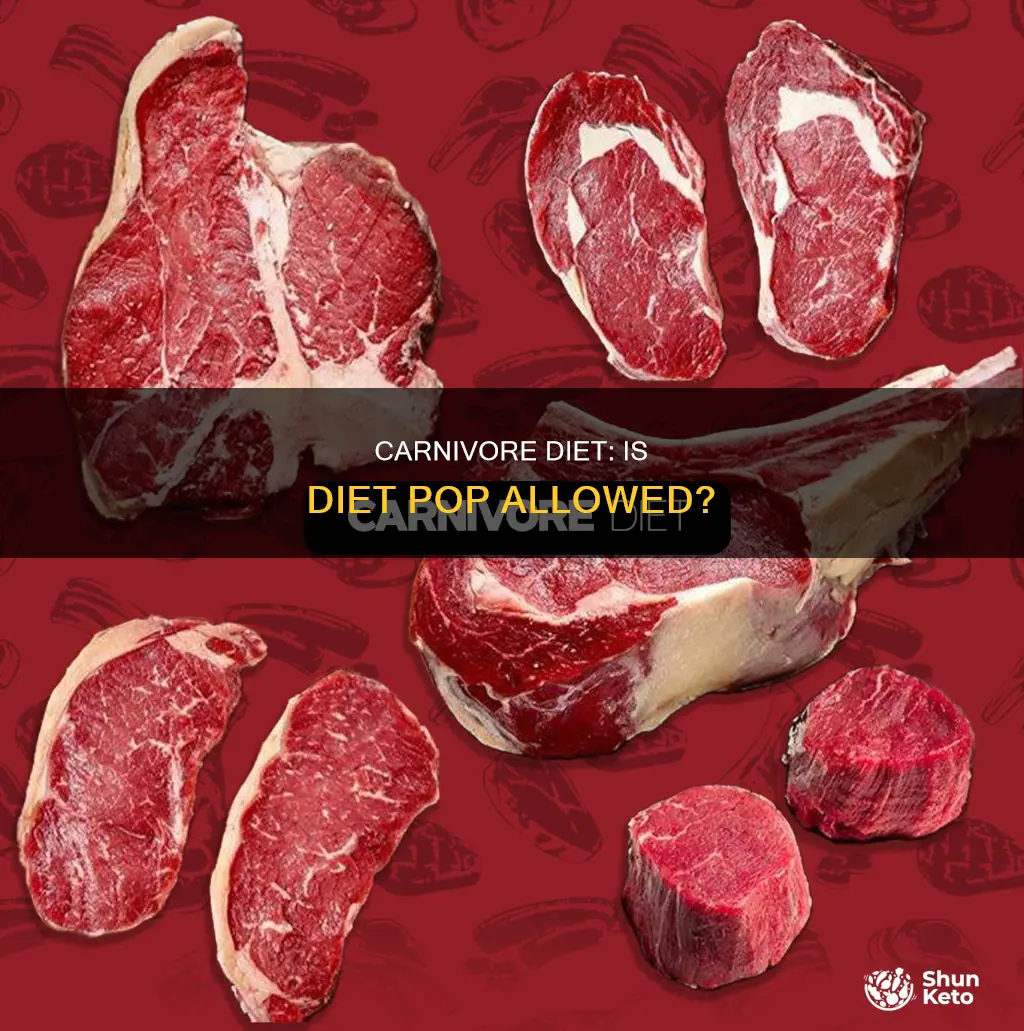 does does the carnivore diet allow diet pop