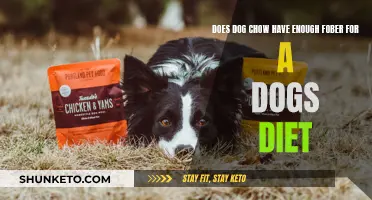 Dog Chow: Is It a Fiber-Filled Feast?