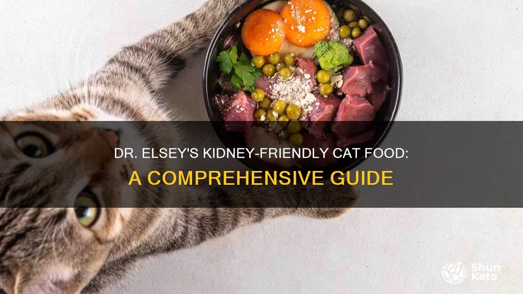 does dr elsey carry a kidney diet for cats