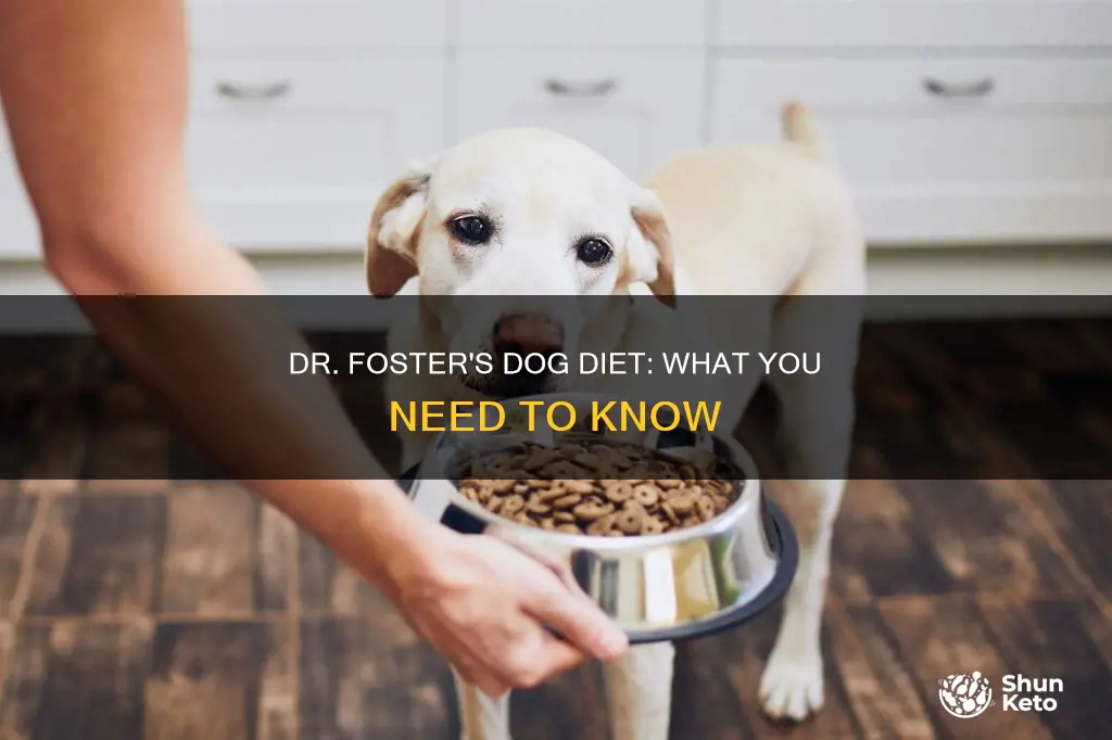 does dr foster have diet for dogs information